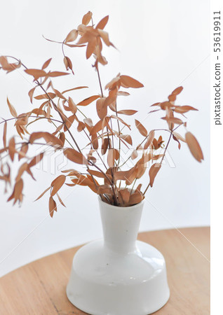 dried plant ,dried plant in the vase dried plant ,dried plant in the vase 53619911