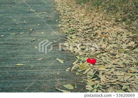 A little red heart pillow falls on the dry leaf A little red heart pillow falls on the dry leaf 53620069