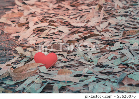 A little red heart pillow falls on the dry leaf A little red heart pillow falls on the dry leaf 53620070