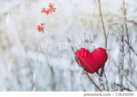 A little red heart pillow on dry tree. A little red heart pillow on dry tree. 53620090