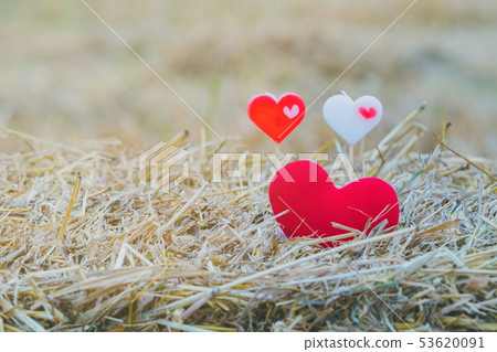 A liitle red heart pillow and two little heart A liitle red heart pillow and two little heart 53620091