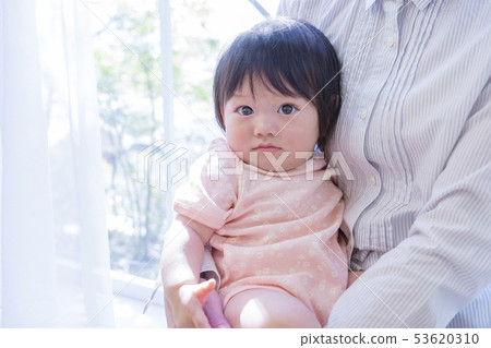 Baby staring at windows 53620310