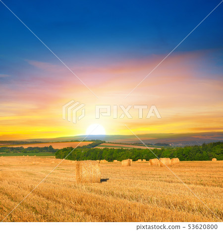 Straw bales on a wheat field and and sunrise. 53620800
