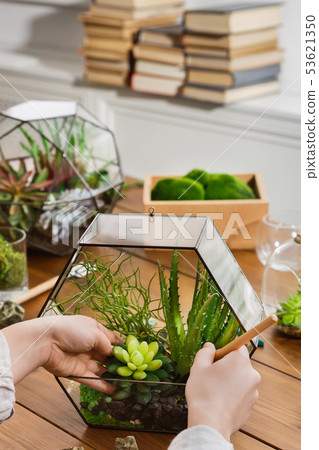 Woman making florarium Woman making florarium 53621350