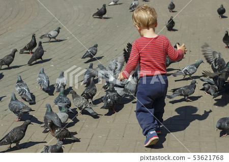 A Baby boy Surrounded by Doves on the piazza 53621768