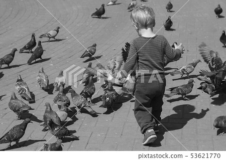 A Baby boy Surrounded by Doves on the piazza 53621770