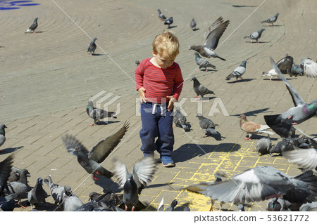 A Baby boy Surrounded by Doves on the piazza 53621772