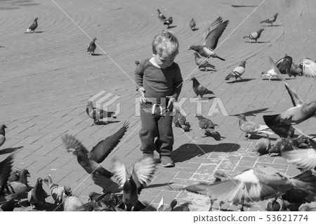 A Baby boy Surrounded by Doves on the piazza 53621774
