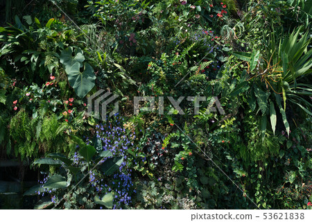 Summer blossom background. Nature scene with blooming flowers, spring flowers, beautiful orchard. Summer blossom background. Nature scene with blooming flowers, spring flowers, beautiful orchard. 53621838