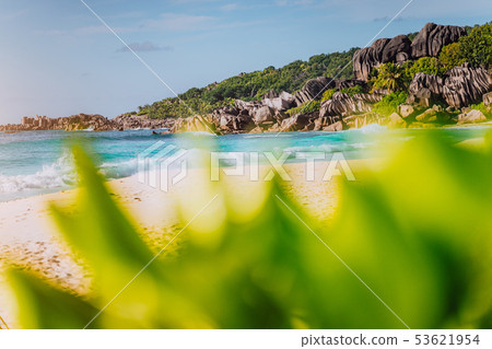 Grand Anse, La Digue island, Seychelles. Defocused lush green vegetation in foreground and gorgeous Grand Anse, La Digue island, Seychelles. Defocused lush green vegetation in foreground and gorgeous 53621954