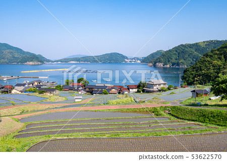 Tanada的一天 53622570