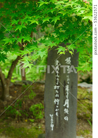 Shoko-ji寺藍色楓樹石紀念碑 Shoko-ji寺藍色楓樹石紀念碑 53622571
