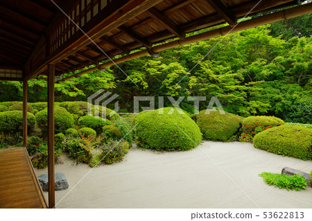 Shisen-do Garden and Satsuki 53622813