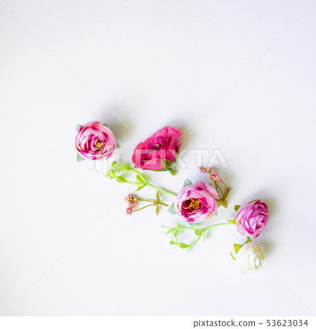 Abstract composition of spring flowers.. Abstract composition of spring flowers.. 53623034