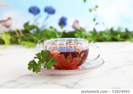 A cup of tea A cup of tea 53624093