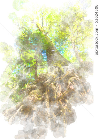 Big tree roots Watercolor style Big tree roots Watercolor style 53624506