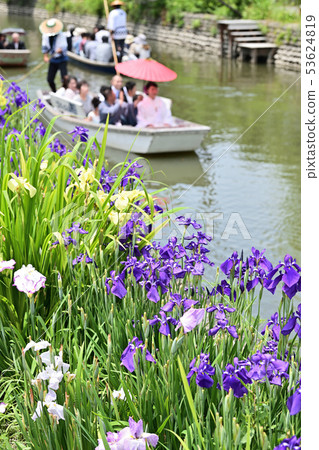 柳川市風景河流下來 53624819