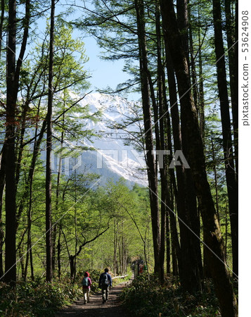 Kamikochi遠足徑5月下旬 Kamikochi遠足徑5月下旬 53624908