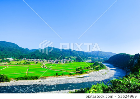 Summer rural landscape (July) 53624969