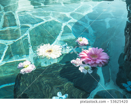 Resort Spa Hotel Resort Spa Hotel 53625420