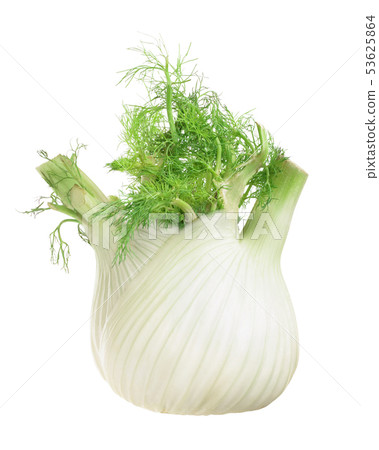 Fennel Bulb. Single fresh fennel bulb with leaves on white background 53625864