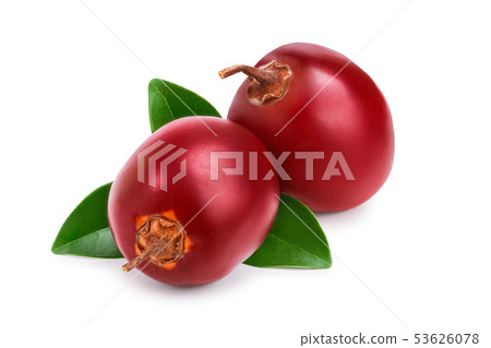 Fresh tamarillo fruit with leaves isolated on white background Fresh tamarillo fruit with leaves isolated on white background 53626078