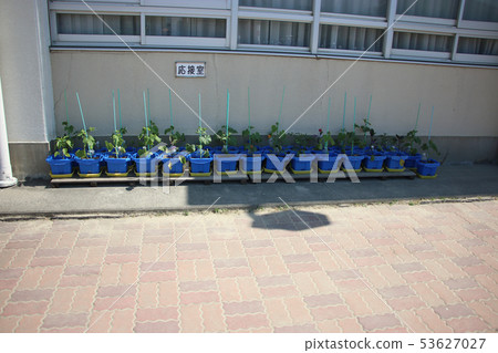 Primary school farm 53627027