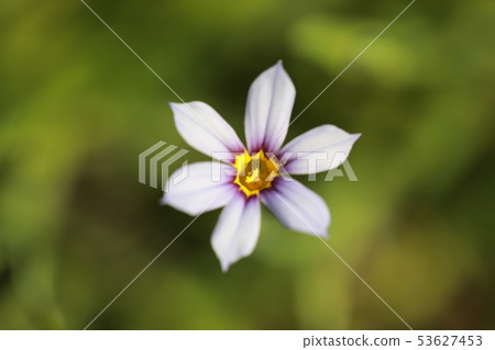 Welcome Welcome 53627453