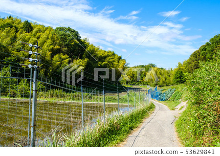 Electromagnetic fence Agricultural field Anti-countermeasures fence Countryside Electromagnetic fence Agricultural field Anti-countermeasures fence Countryside 53629841