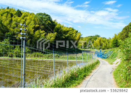 Electromagnetic fence Agricultural field Anti-countermeasures fence Countryside Electromagnetic fence Agricultural field Anti-countermeasures fence Countryside 53629842