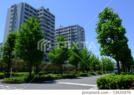 新鮮的綠色和公寓 53630976