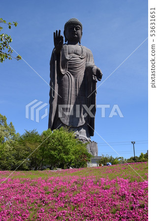 Ushiku Daibutsu世界上最大的銅像 53631651