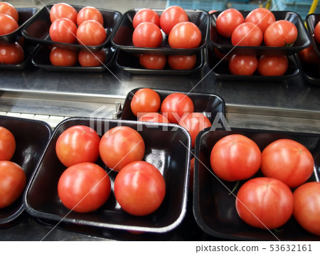 Fruit tomato sorting station sorting 53632161