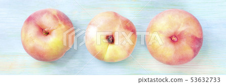 A panoramic view of vibrant organic flat saturn peaches, shot from above on a teal background 53632733
