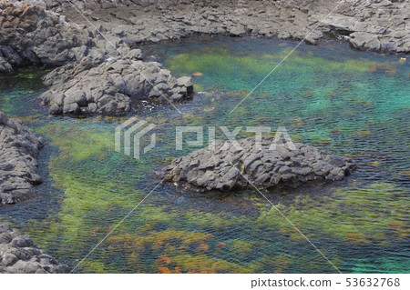 靠近大象洞(佐賀縣)的鼻子 靠近大象洞(佐賀縣)的鼻子 53632768