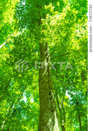 Fresh green and eco image 53633782