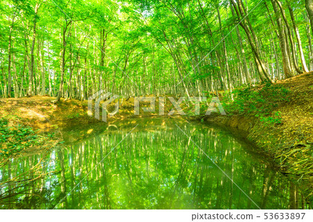 Fresh green and eco image 53633897