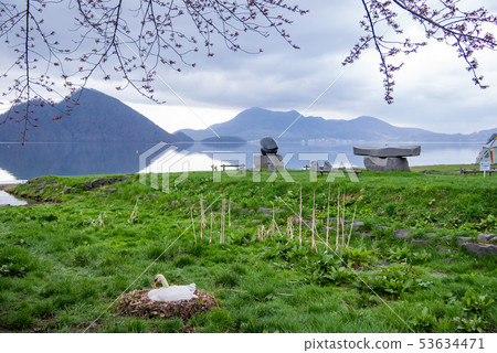 北海道洞爺湖露營地毗鄰天鵝巢 北海道洞爺湖露營地毗鄰天鵝巢 53634471