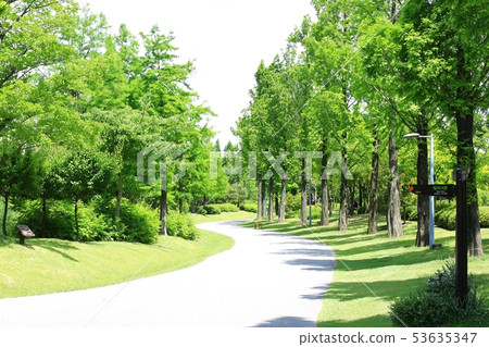 Spring garden, tree-lined street 53635347