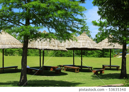 春天的花園,綠樹成蔭的街道 春天的花園,綠樹成蔭的街道 53635348