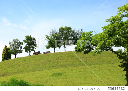 春天的花園,綠樹成蔭的街道 春天的花園,綠樹成蔭的街道 53635382