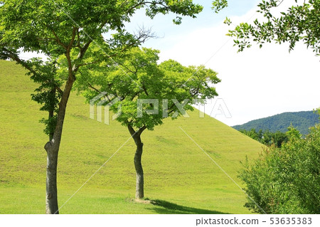春天的花園,綠樹成蔭的街道 春天的花園,綠樹成蔭的街道 53635383
