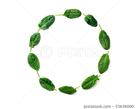Pattern from baby spinach in round frame isolated 53636000