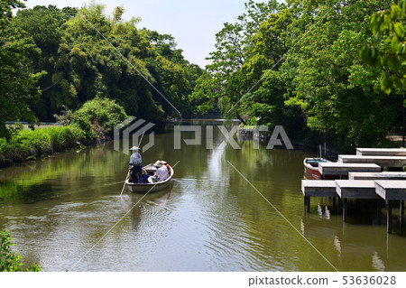 柳川市風景河流下來 柳川市風景河流下來 53636028