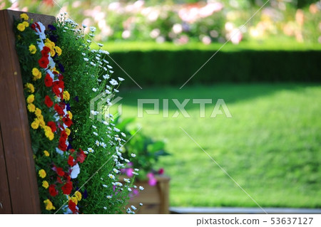Rose garden, garden 53637127