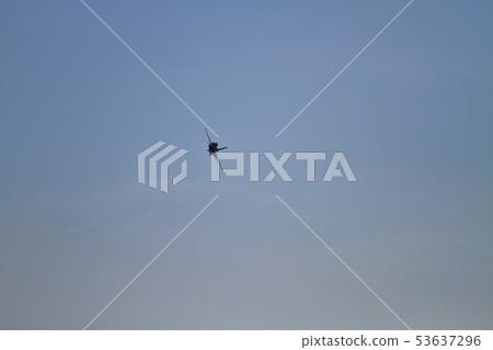 低空飛行 雜技 特技飛行 53637296