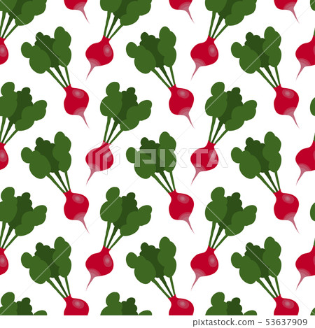Hand drawn radish vector seamless pattern 53637909