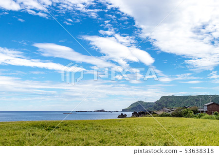 Paddy field along the coast August Paddy field along the coast August 53638318