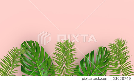 3D render of realistic palm leaves on pink background for cosmetic ad or fashion illustration 3D render of realistic palm leaves on pink background for cosmetic ad or fashion illustration 53638749