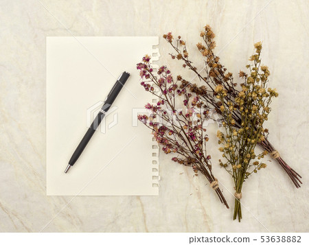 Bouquet of dried Gypsophila flowers for decoration Bouquet of dried Gypsophila flowers for decoration 53638882